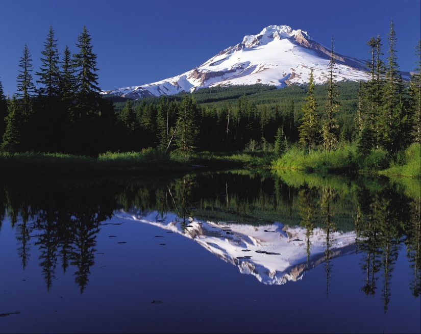 The story of the tragic death of American schoolchildren on Mount Hood