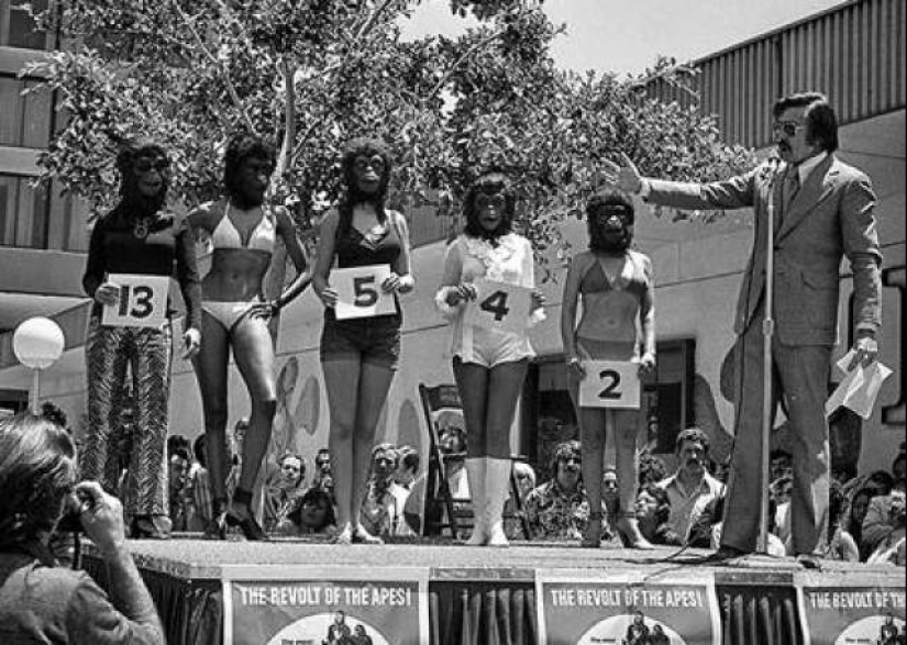 The strangest beauty contests in the history of mankind