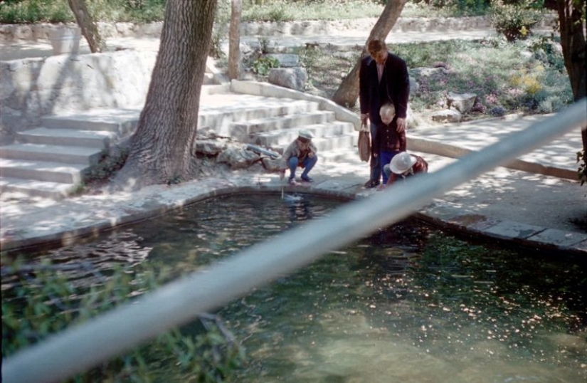 The sun of our ancestors: photos resort of Crimea 70s