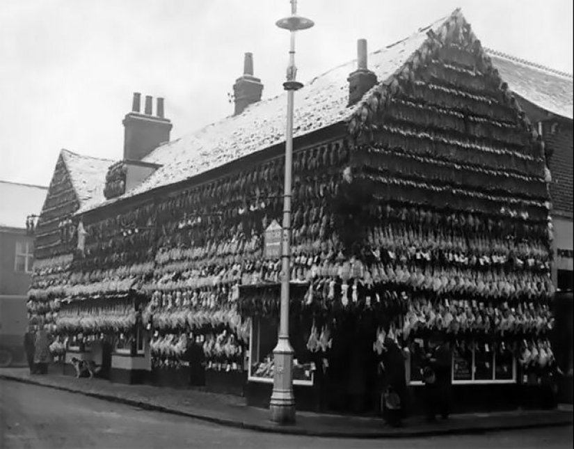 The time of fridges: a butcher's shop in Victorian England