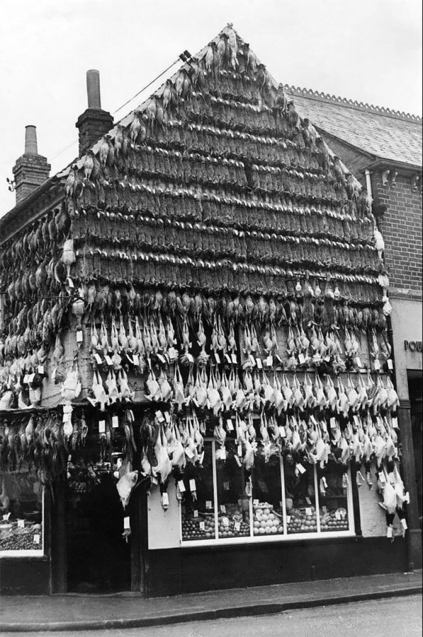 The time of fridges: a butcher's shop in Victorian England