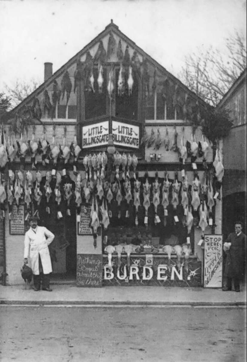 The time of fridges: a butcher's shop in Victorian England