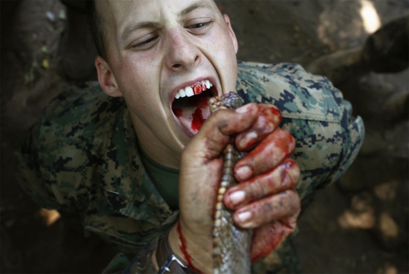 The toughest military training from around the world