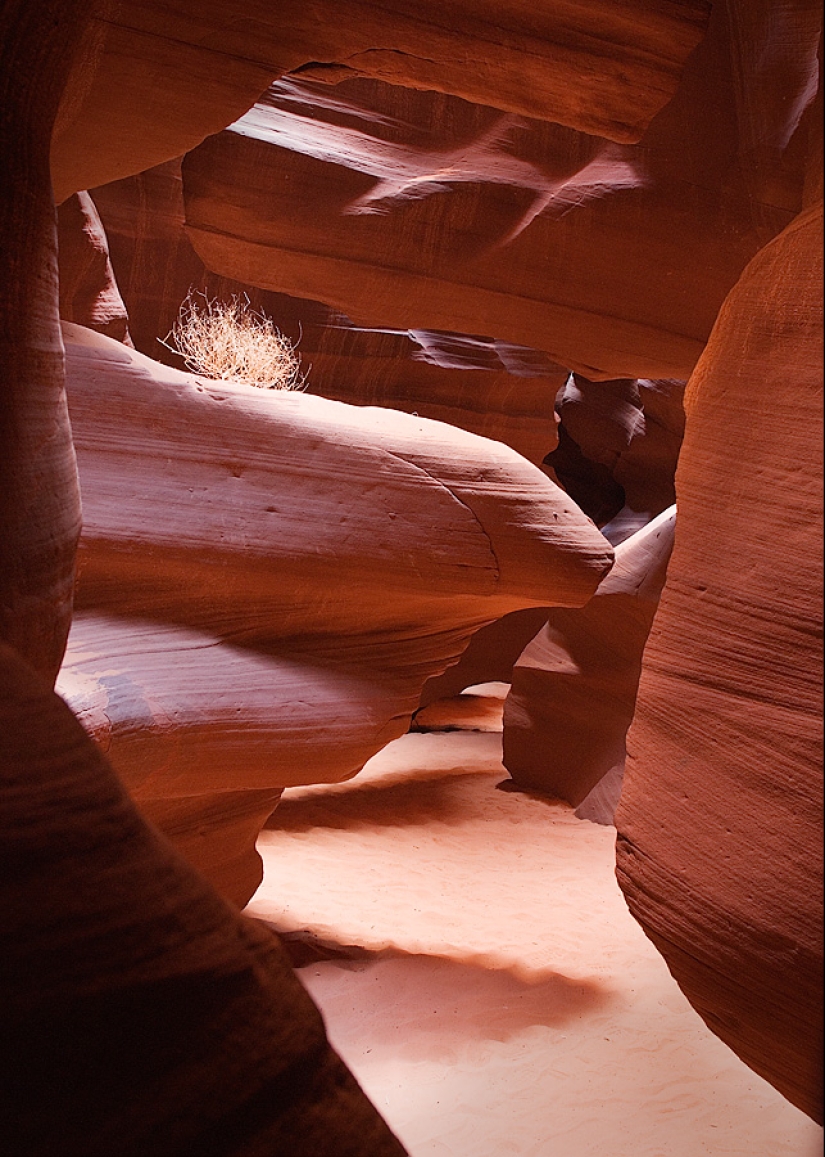 The unearthly beauty of Antelope Canyon