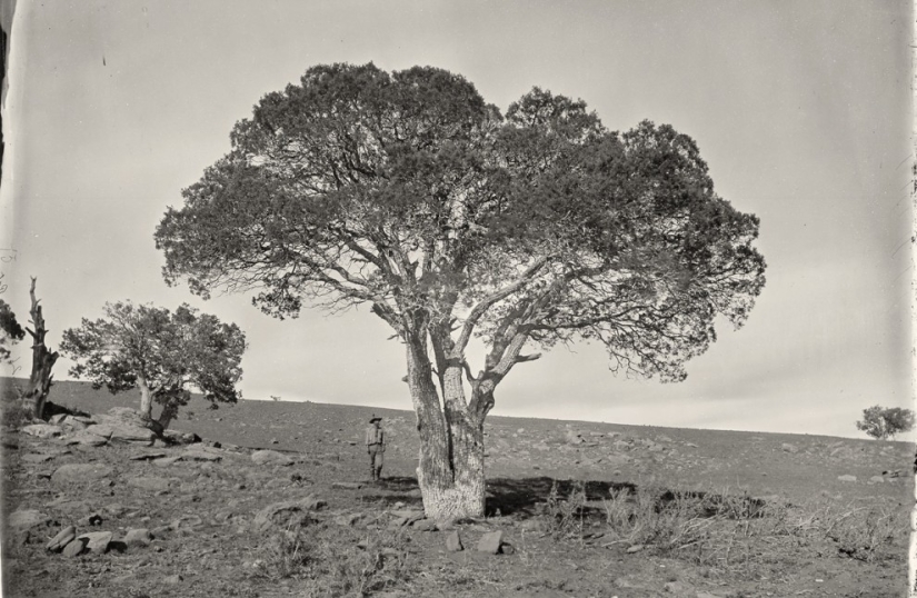 The Wild West in pictures by Timothy O'Sullivan