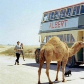 The world&#39;s longest bus route London - Kolkata