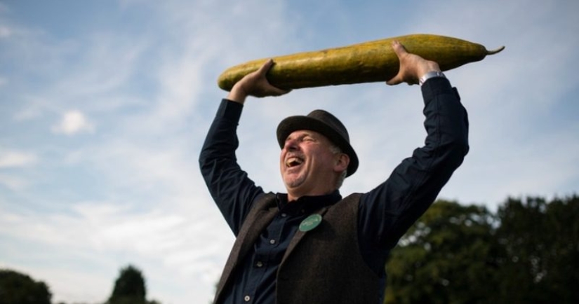 There is a hunt for carrots, or Gardeners with their glorious trophies