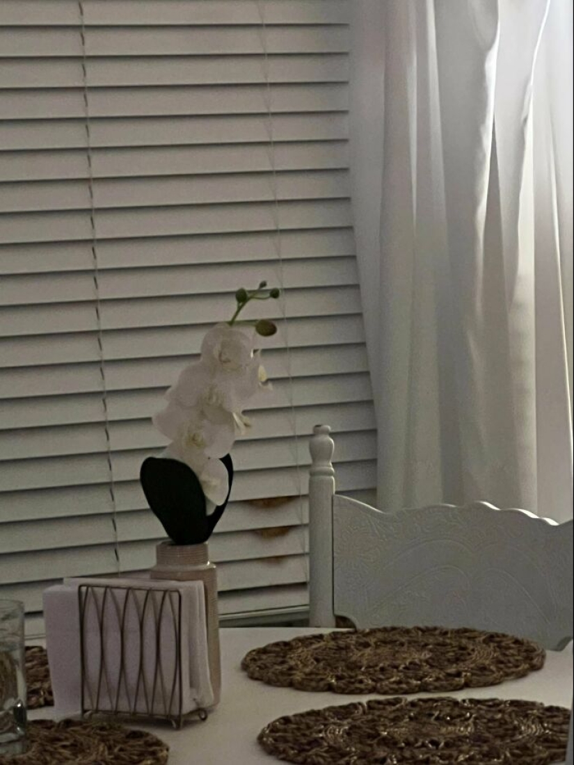 ‘There Is No Cat In This Image’: This X Account Collects Pictures Of Very Well-Hidden Cats