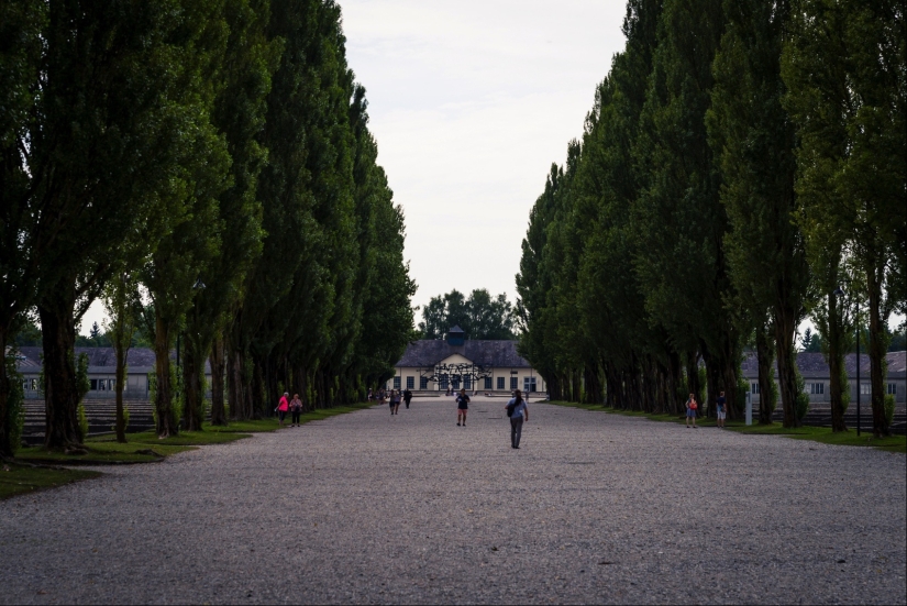 "Think how we died": a horror story in the Dachau concentration camp