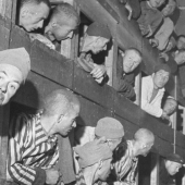 "Think how we died": a horror story in the Dachau concentration camp