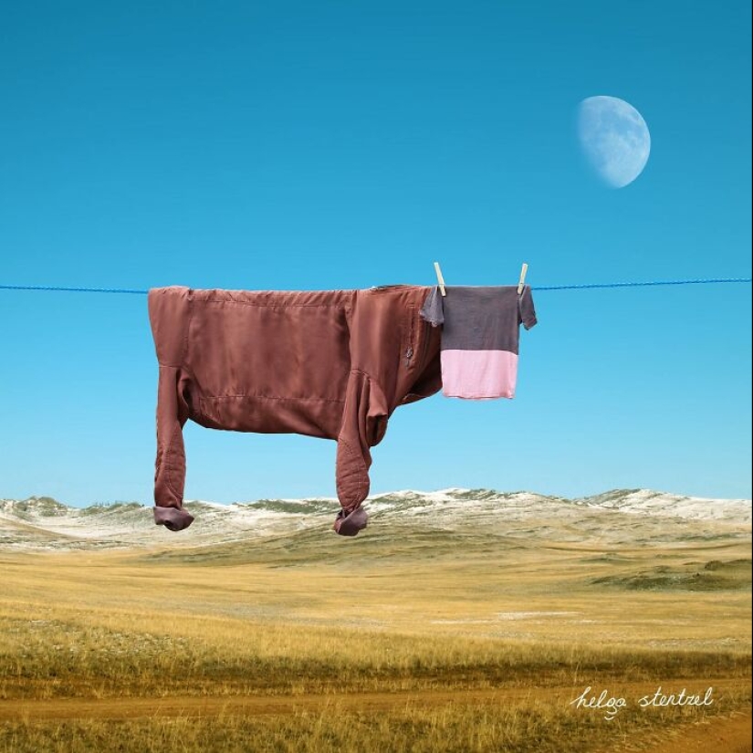 This Artist Created 11 Playful Animals From Laundry And Captured Them In Picturesque Landscapes