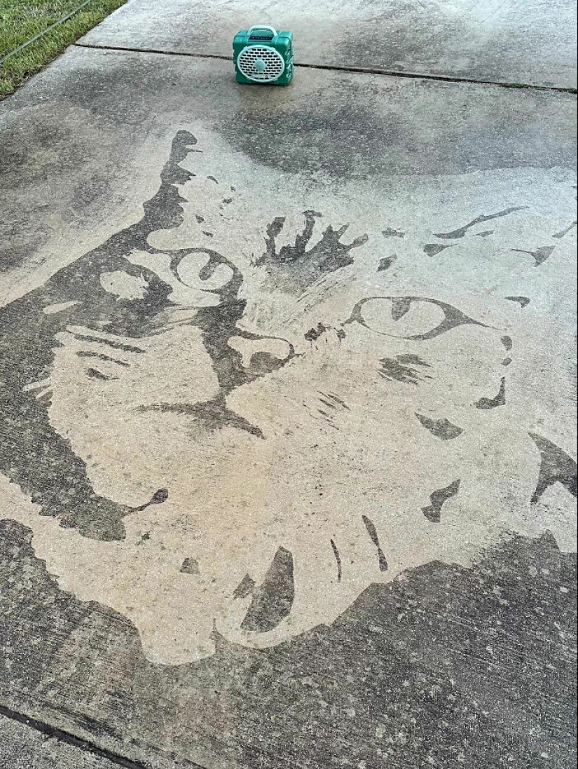 This Guy Used A Pressure Washer To Create Art On The Street, And Here Are His 13 Best Works