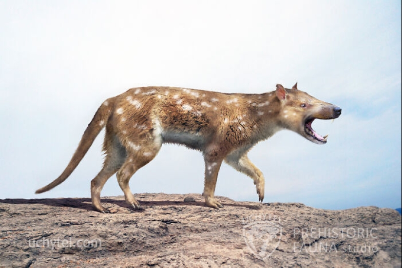 This Paleoartist Recreates Prehistoric Fauna: 12 Ancient Creatures For The 2025 Calendar