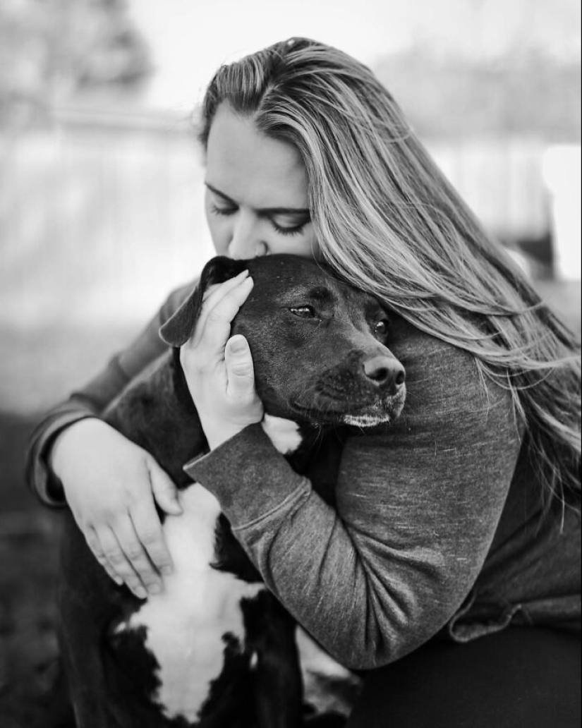 This Photographer Captures People With Their Pets Before They Cross The “Rainbow Bridge”