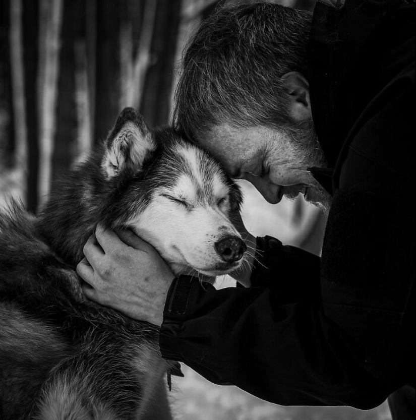 This Photographer Captures People With Their Pets Before They Cross The “Rainbow Bridge”