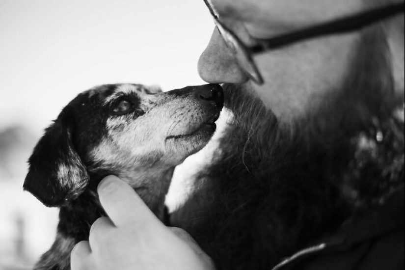 This Photographer Captures People With Their Pets Before They Cross The “Rainbow Bridge”