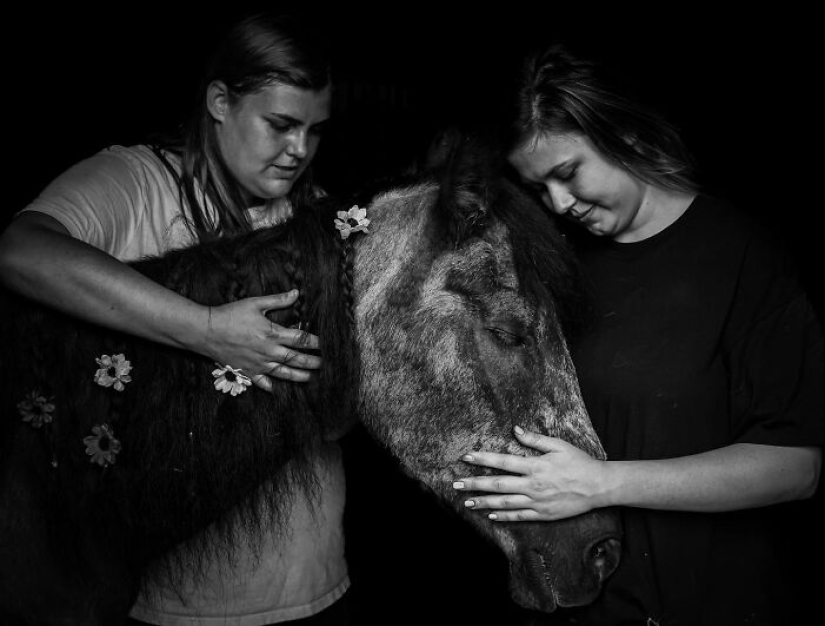 This Photographer Captures People With Their Pets Before They Cross The “Rainbow Bridge”