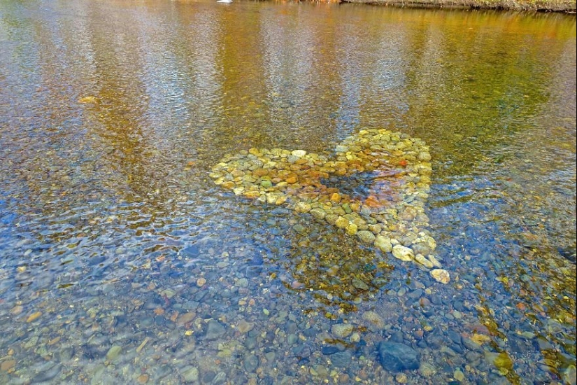 Todo el amor y la felicidad: la Increíble instalación por David Allen