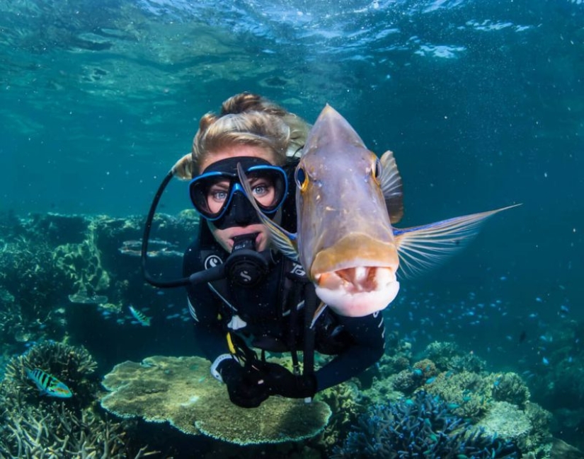 Todo el mundo llama a las imágenes con photoshop, pero son reales: imágenes increíbles de un buzo y el mundo submarino