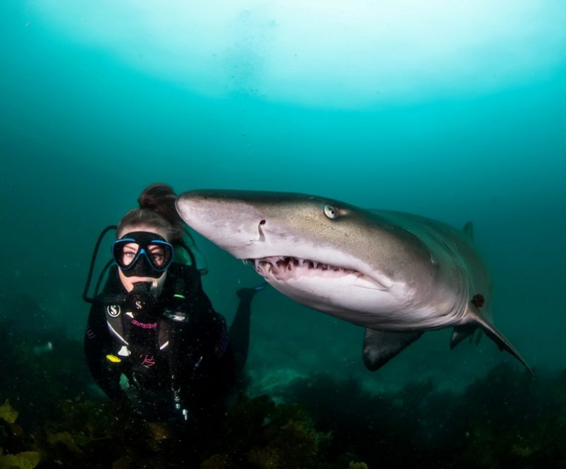 Todo el mundo llama a las imágenes con photoshop, pero son reales: imágenes increíbles de un buzo y el mundo submarino