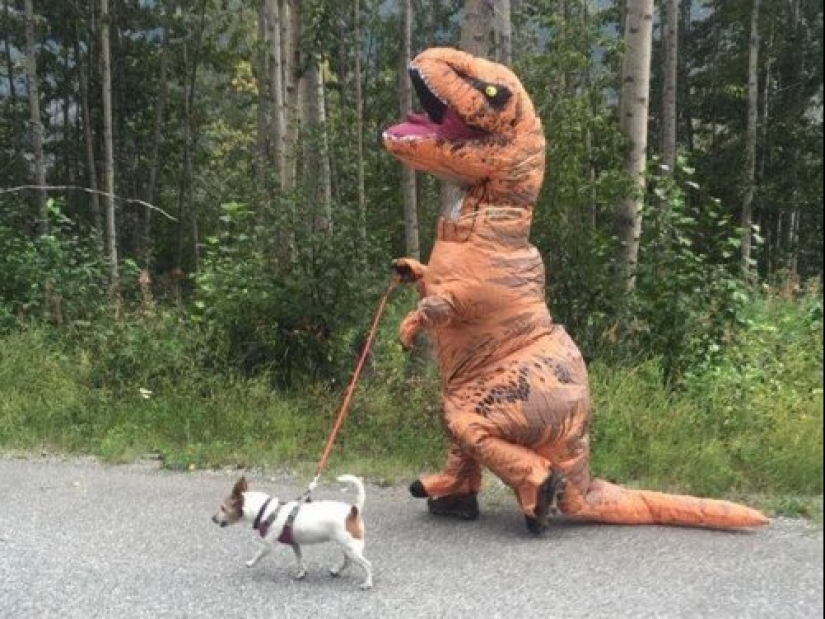 Todo el mundo sueña con este traje de tiranosaurio, y he aquí por qué