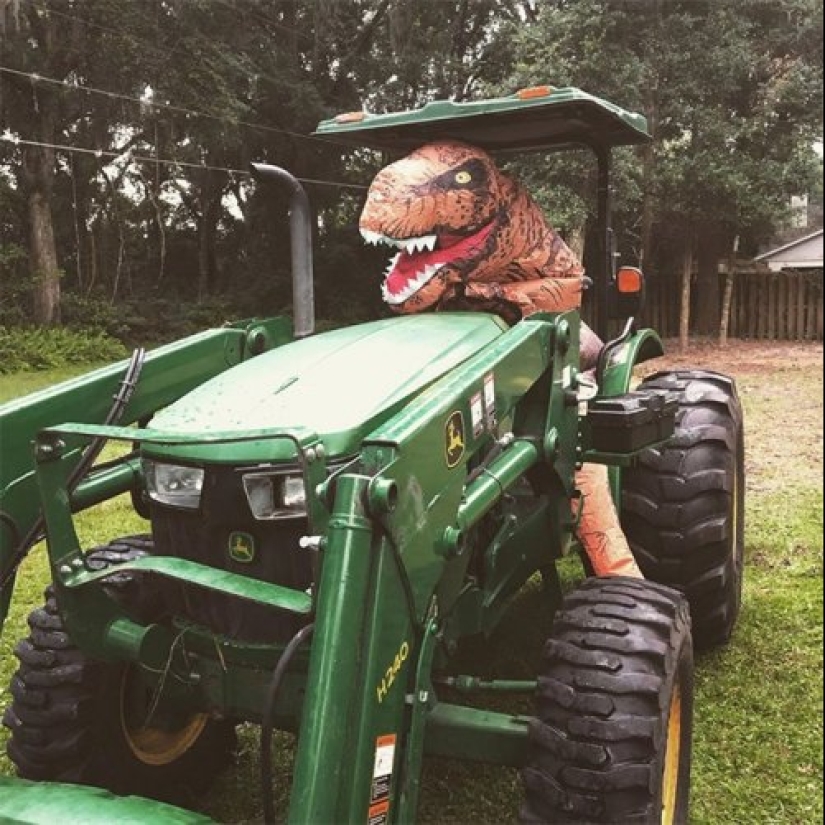 Todo el mundo sueña con este traje de tiranosaurio, y he aquí por qué