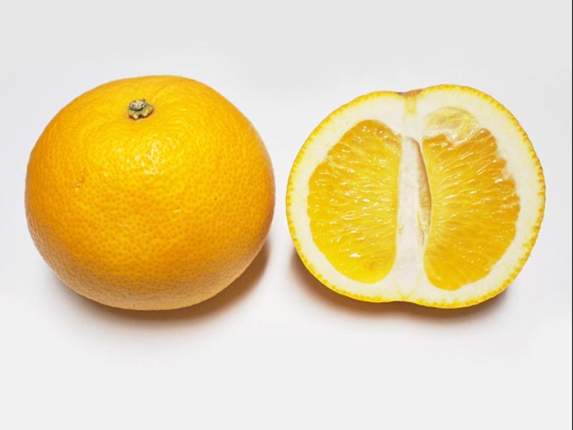 Top 10 Citrus Fruits You Probably Haven't Tried yet