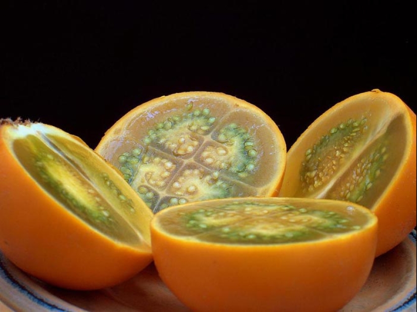 Top 10 Citrus Fruits You Probably Haven't Tried yet