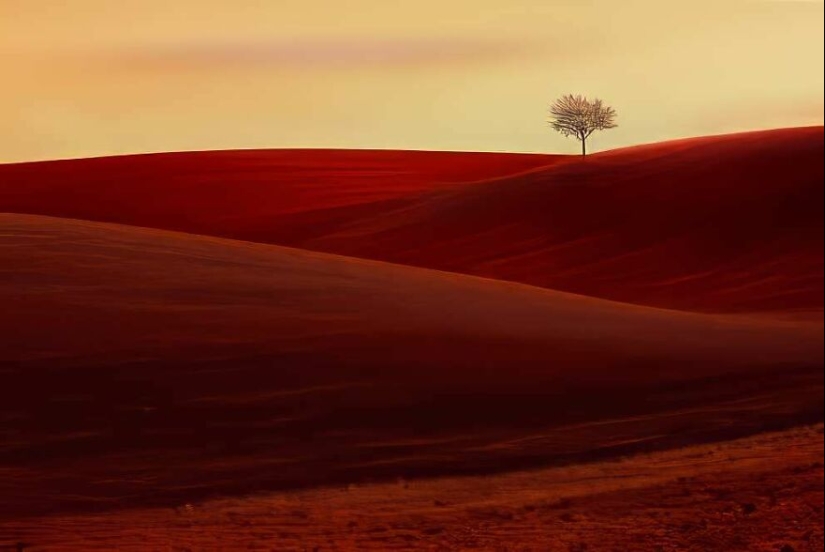 Top 10 Landscape Photos From The 2024 ReFocus Color Awards