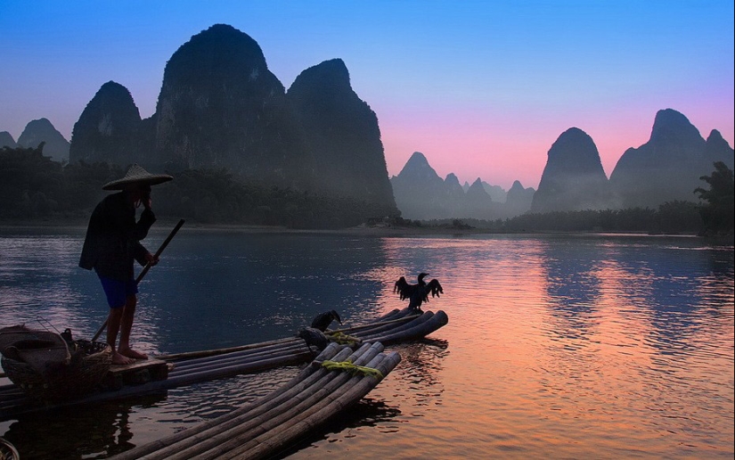 Traditional Chinese fishing with cormorants