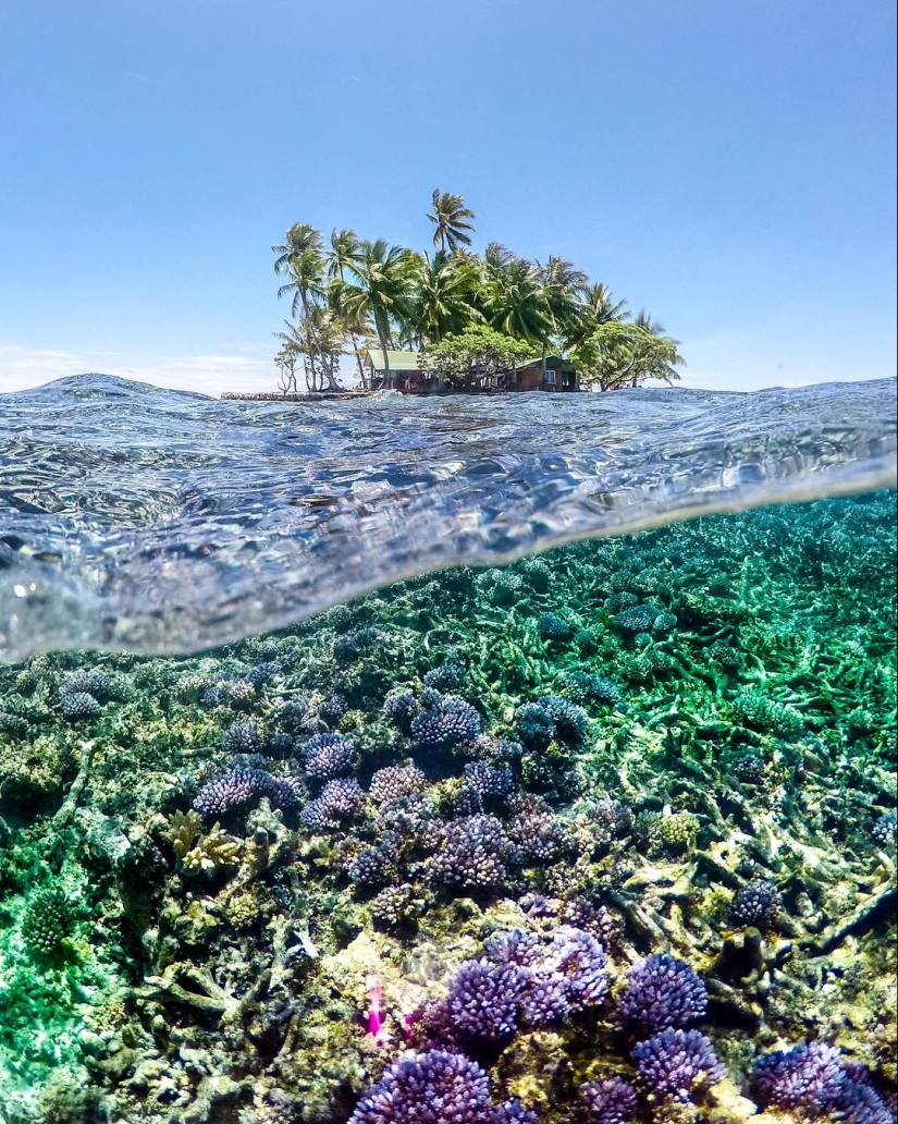 Tropical Paradise: Micronesia and the Marshall Islands in pictures by Robert Michael Poole