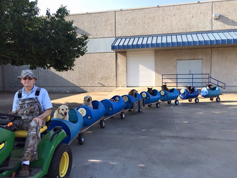 Trucos de vida inventivos de los dueños de perros