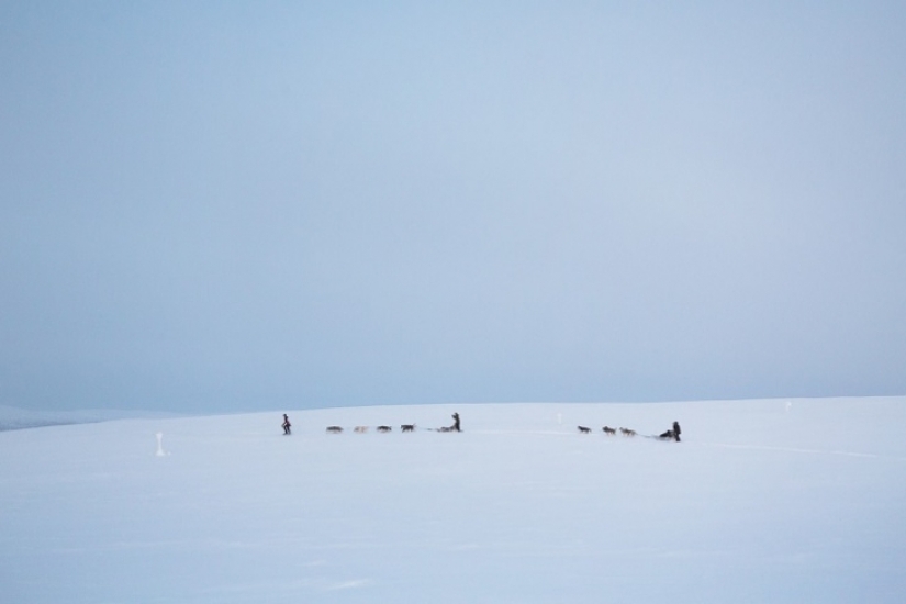 Un día en la vida de polar reclusa