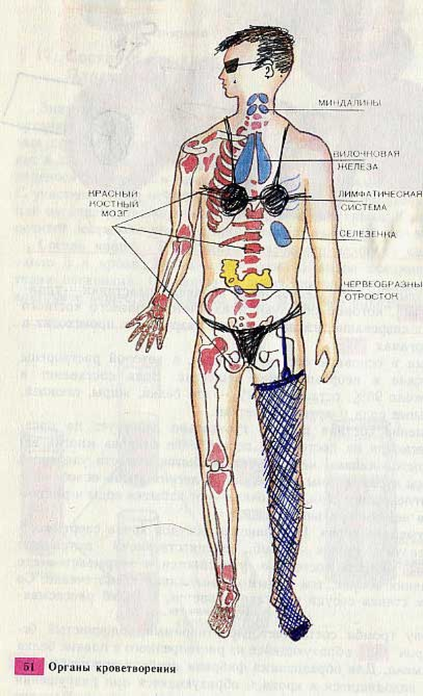 Un divertido libro de texto de biología te lleva de regreso al noveno grado