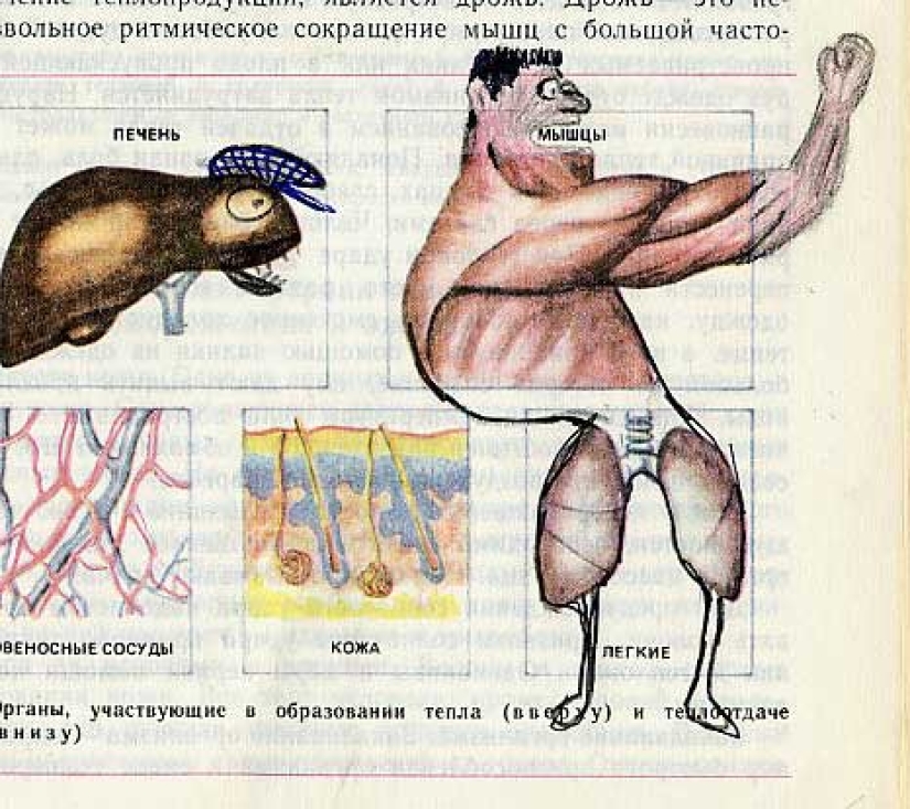 Un divertido libro de texto de biología te lleva de regreso al noveno grado