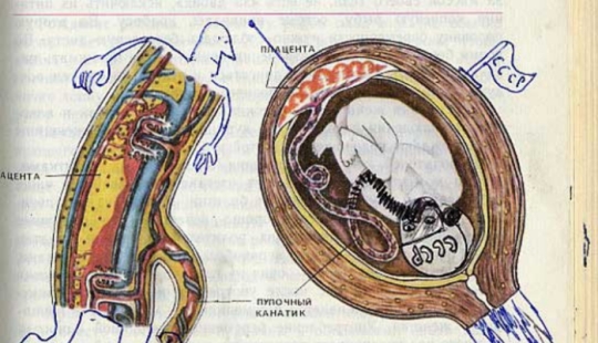 Un divertido libro de texto de biología te lleva de regreso al noveno grado