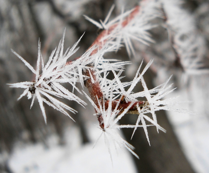 Un fenómeno atmosférico poco común: las agujas de hielo, qué son y cómo se ven