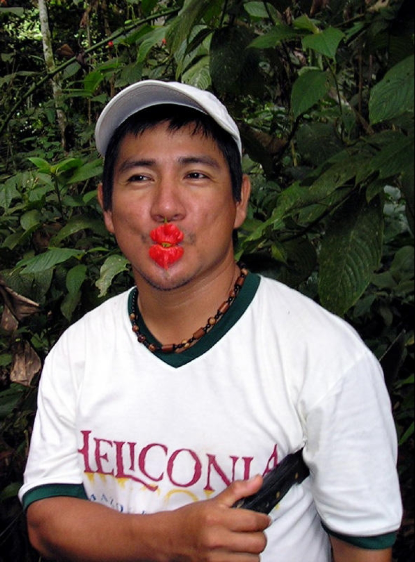 Una broma de la naturaleza — una increíble flor de "Labios de puta"