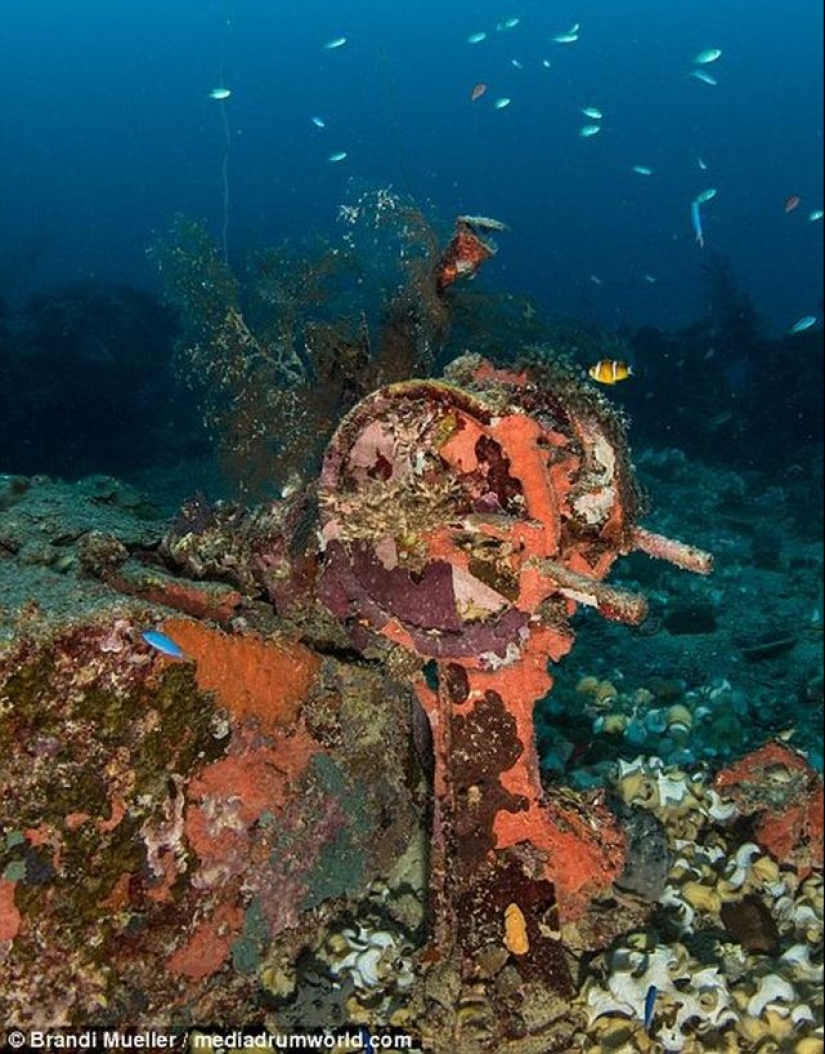 Underwater cemetery of Japan: pictures of submerged equipment from the Second World War