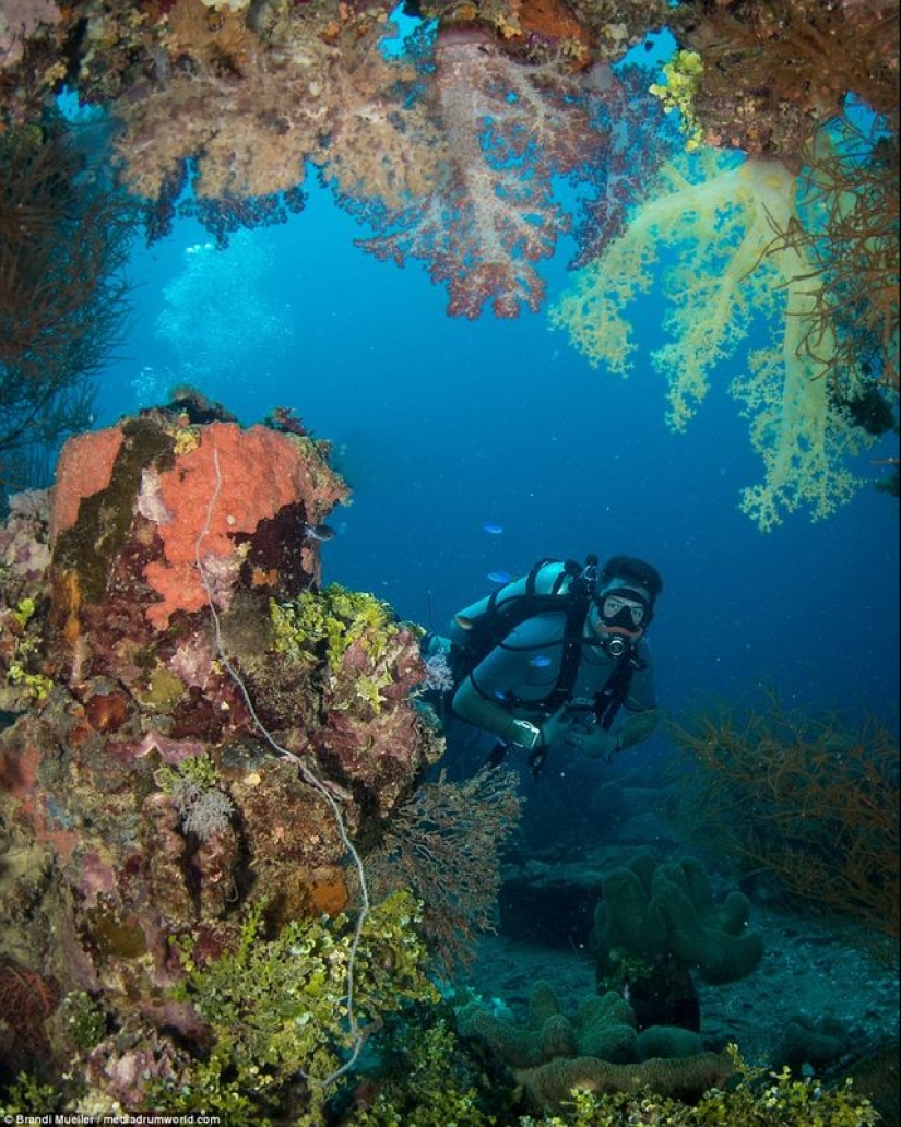 Underwater cemetery of Japan: pictures of submerged equipment from the Second World War