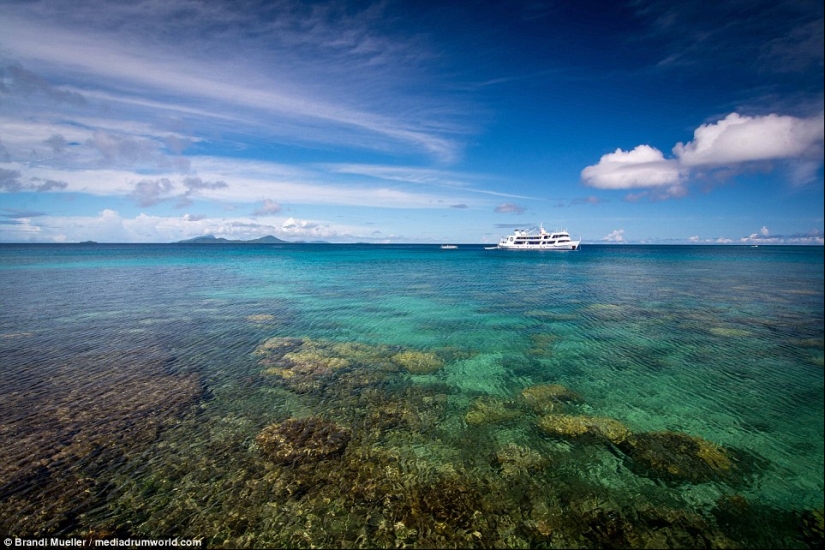 Underwater cemetery of Japan: pictures of submerged equipment from the Second World War