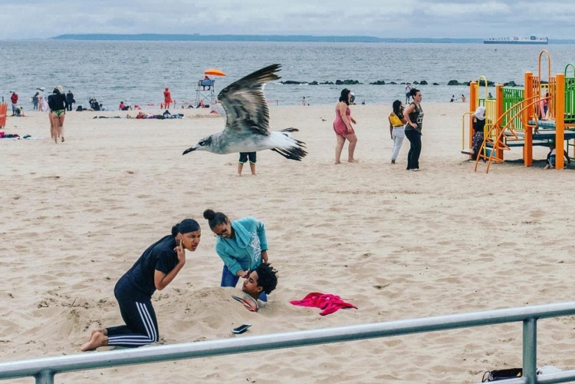 Unexpected street scenes of new York and tel Aviv in the lens of master street-photo by Ronen Berka