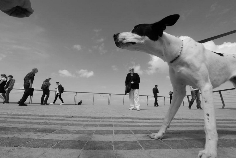 Unexpected street scenes of new York and tel Aviv in the lens of master street-photo by Ronen Berka