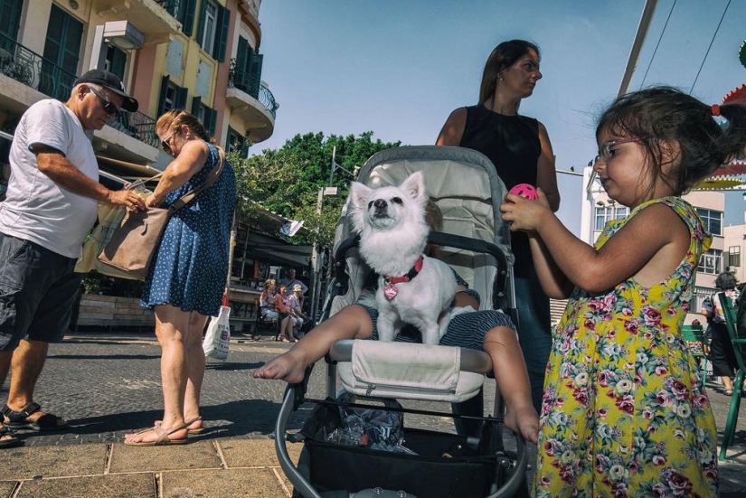 Unexpected street scenes of new York and tel Aviv in the lens of master street-photo by Ronen Berka