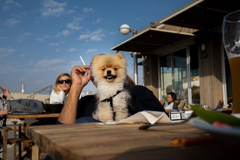 Unexpected street scenes of new York and tel Aviv in the lens of master street-photo by Ronen Berka