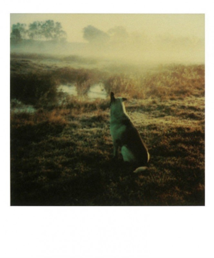Unknown Polaroids by Andrei Tarkovsky from the personal archive