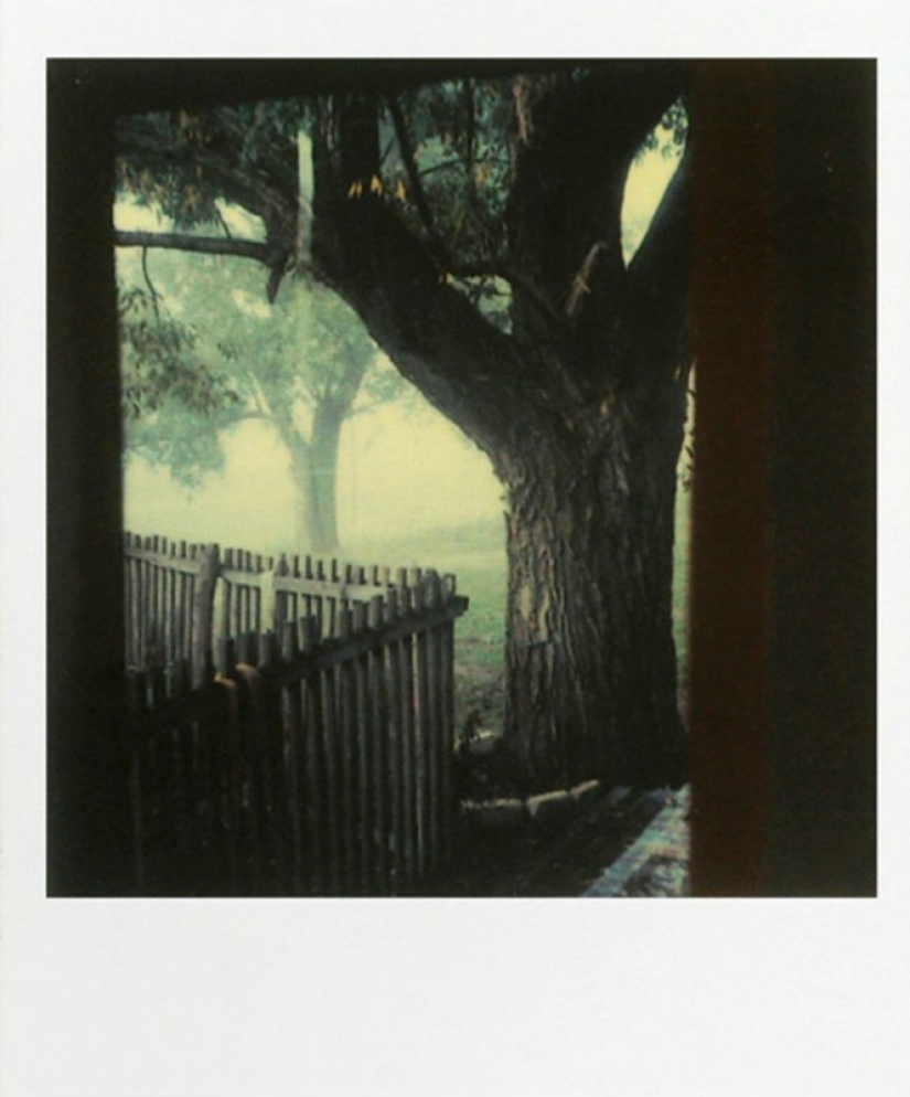 Unknown Polaroids by Andrei Tarkovsky from the personal archive