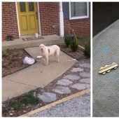 Unlucky: 22 photos from people who don't know what "luck" is