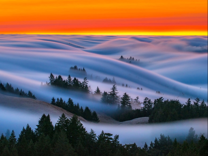 Unrealistically beautiful photographs of waves... fog