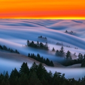 Unrealistically beautiful photographs of waves... fog